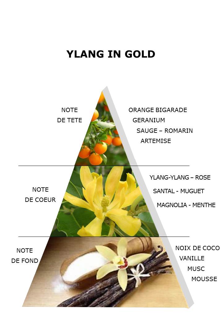 ylang in gold_pyramide